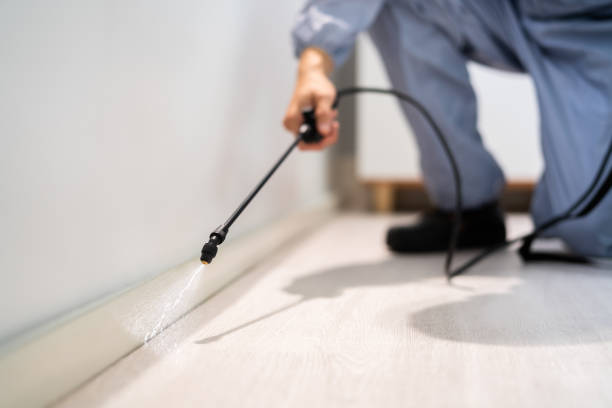 Licensed Rodent Control service in Smithfield, VA - Nex Pest Control