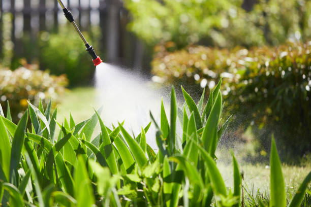 24/7 Emergency Rodent Control experts in Smithfield, VA