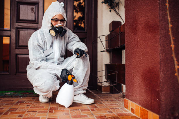 Reliable Rodent Control contractor in Smithfield, VA by Nex Pest Control