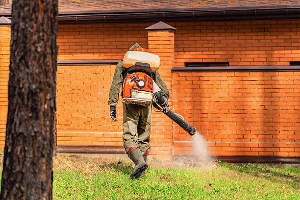 Top rated local Rodent Control specialists in Smithfield, VA